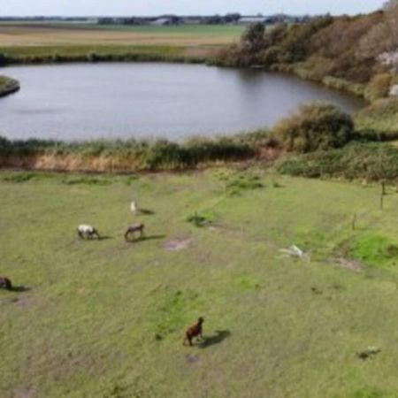 B&B Hoeve Dijkstal Logeren Op De Boerderij Sint Maarten Ngoại thất bức ảnh