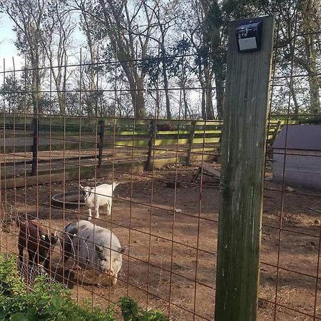 B&B Hoeve Dijkstal Logeren Op De Boerderij Sint Maarten Ngoại thất bức ảnh