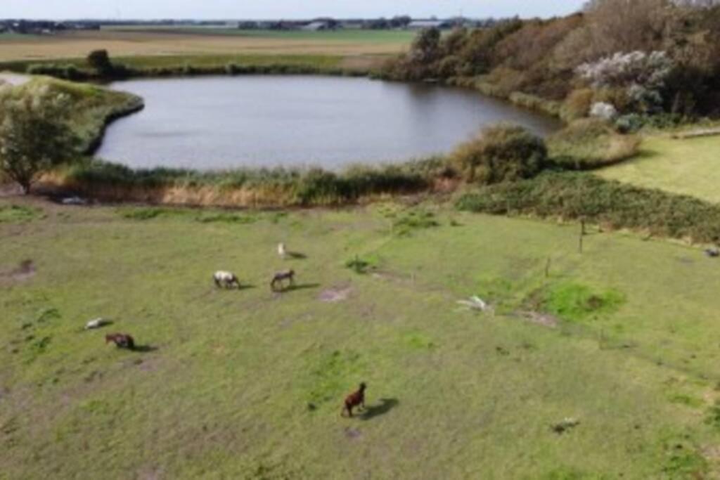 B&B Hoeve Dijkstal Logeren Op De Boerderij Sint Maarten Ngoại thất bức ảnh